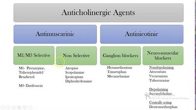 Anticholinergic Drugs commonly used