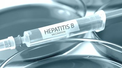 Getting a Hepatitis B Vaccine It can also be transmitted