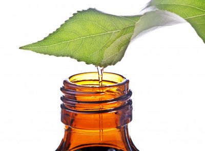 Tea Tree Oil and Tulsi - What You Need To Know found in