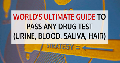 Things to Remember Before Having Your Blood Work Tested suffering from any health problems